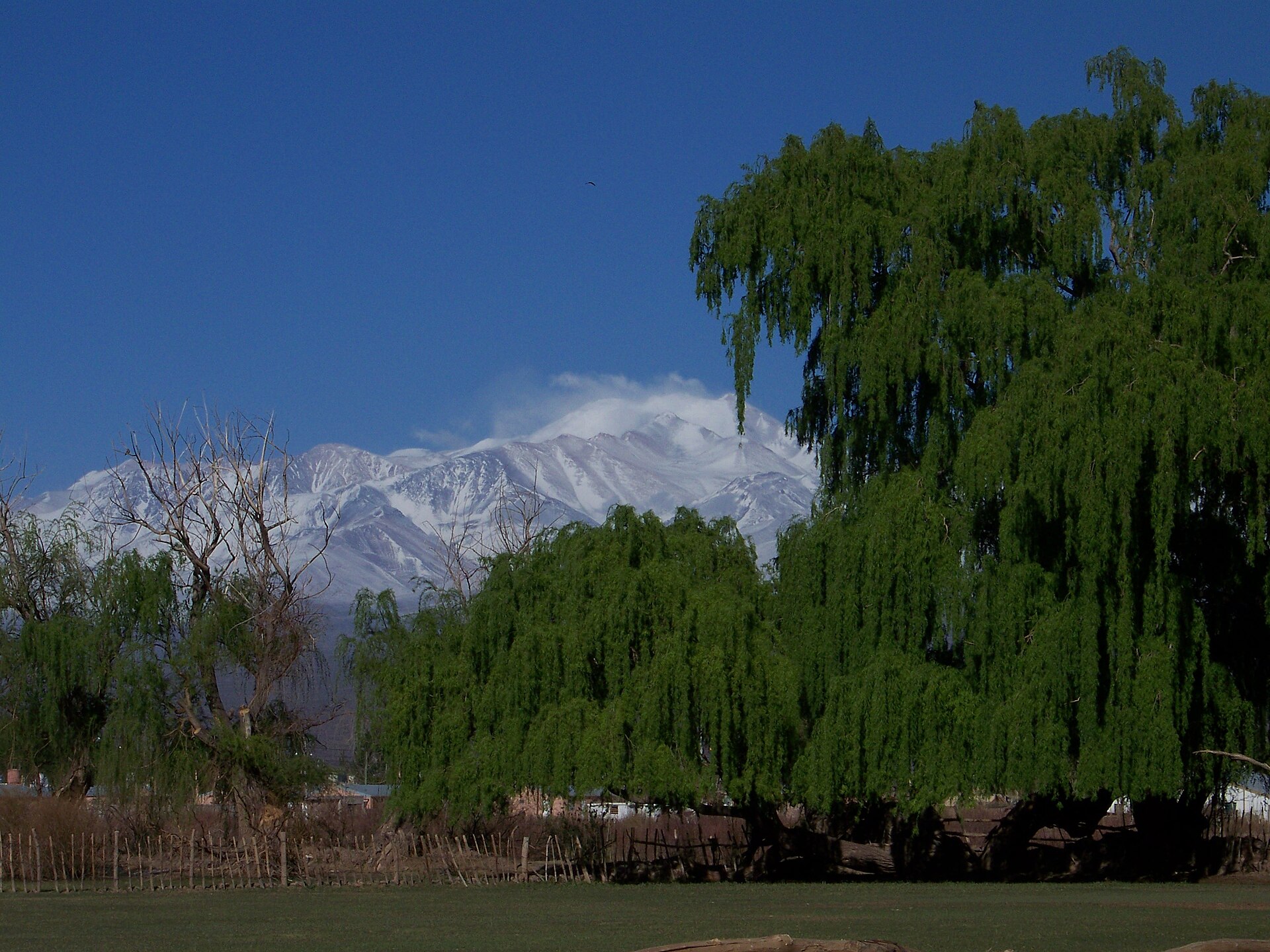 Cerro Mercedario nevado visto desde Barreal, San Juan, Argentina